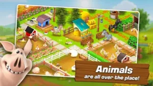 Hay Day 4