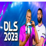 DLS 2023